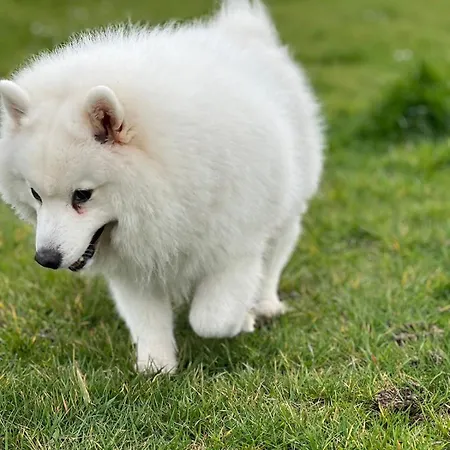 T2, Oura Apartman Albufeira