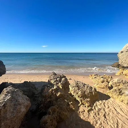 T2, Oura 알부페이라